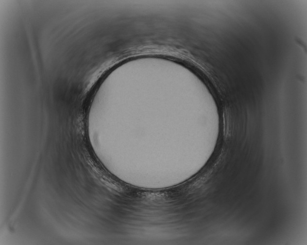 X0000100851501200807181044