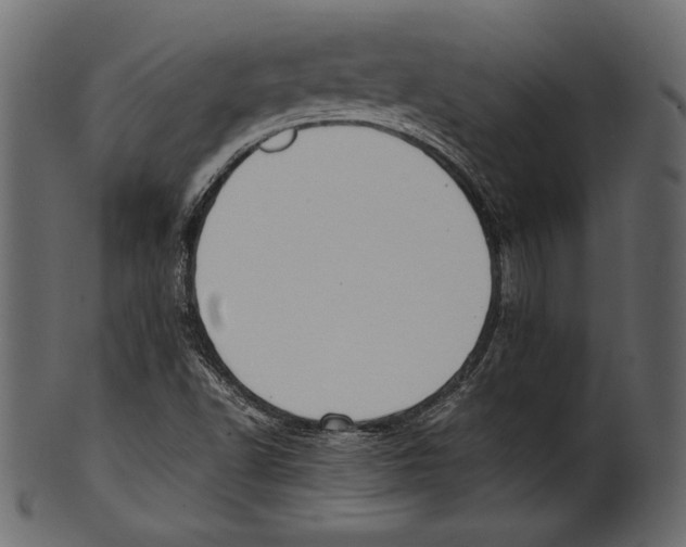 X0000100851502200807181044