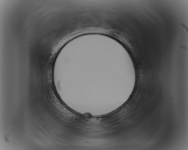 X0000100851504200807181044