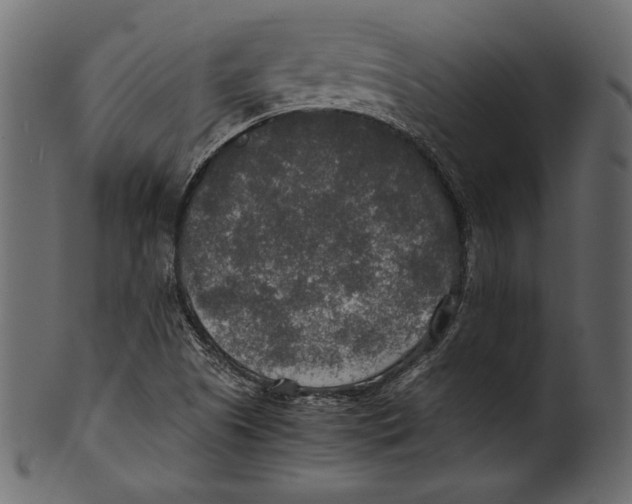 X0000100851505200807181044