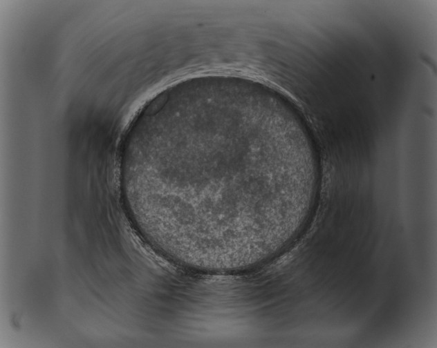 X0000100851506200807181044