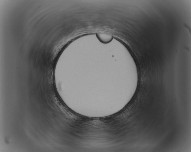 X0000100851507200807181044