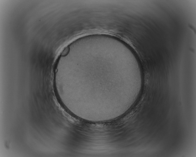 X0000100851508200807181044