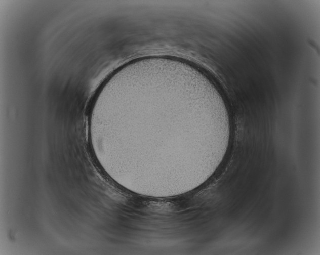 X0000100851509200807181044