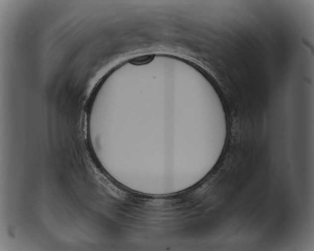 X0000100851510200807181044