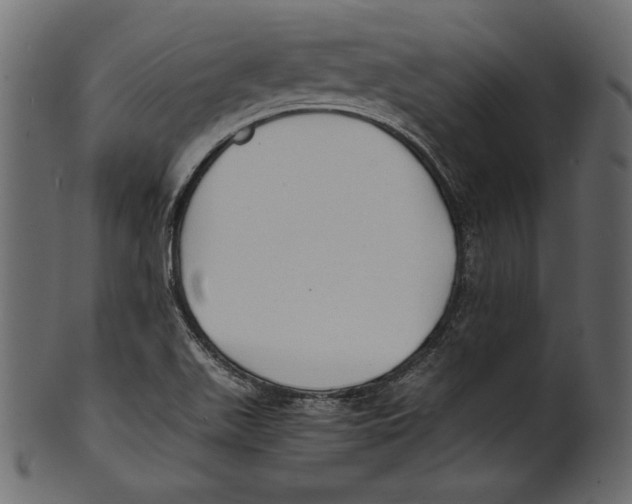 X0000100851511200807181044