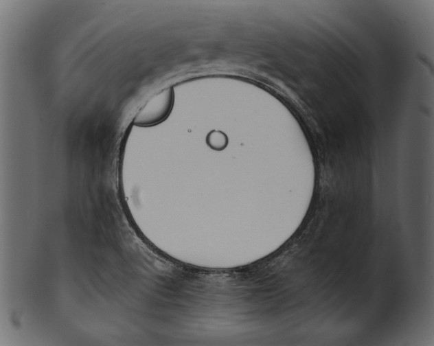 X0000100851512200807181044