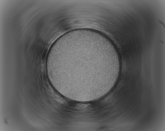 X0000100851513200807181044