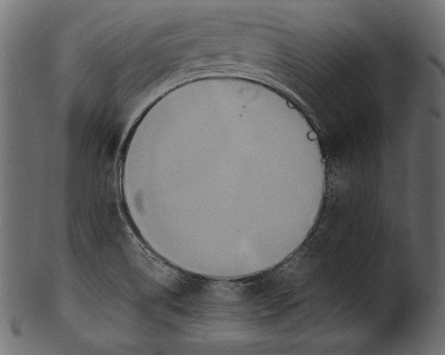 X0000100851514200807181044