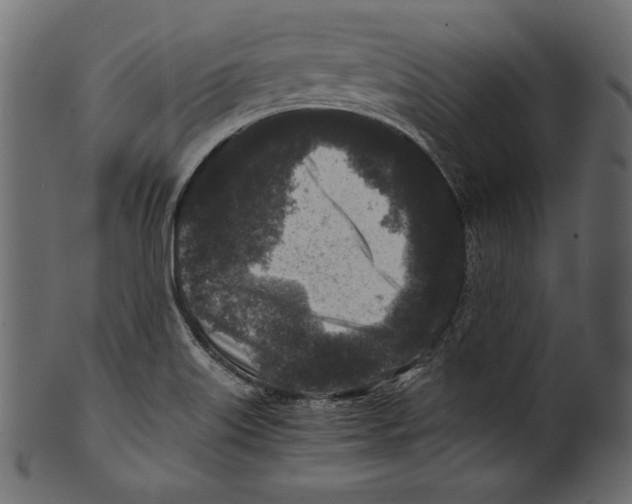 X0000100851515200807181044