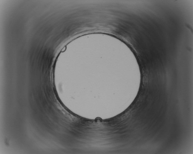 X0000100851516200807181044