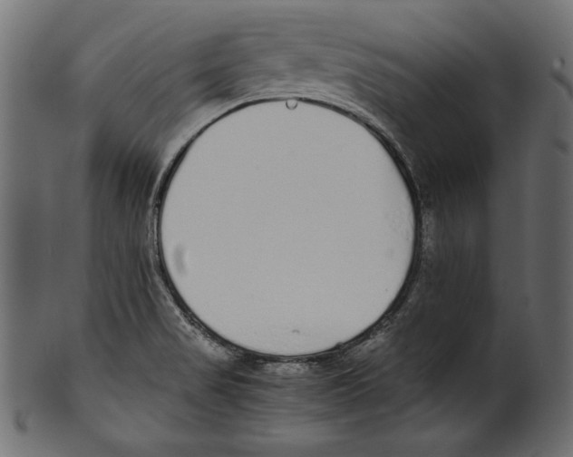 X0000100851517200807181044