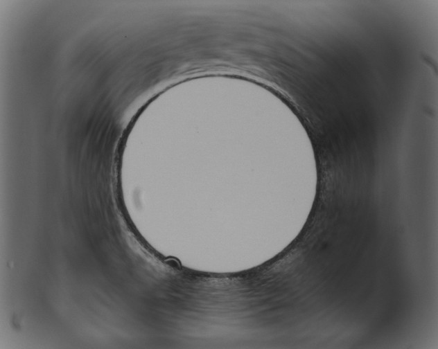 X0000100851518200807181044