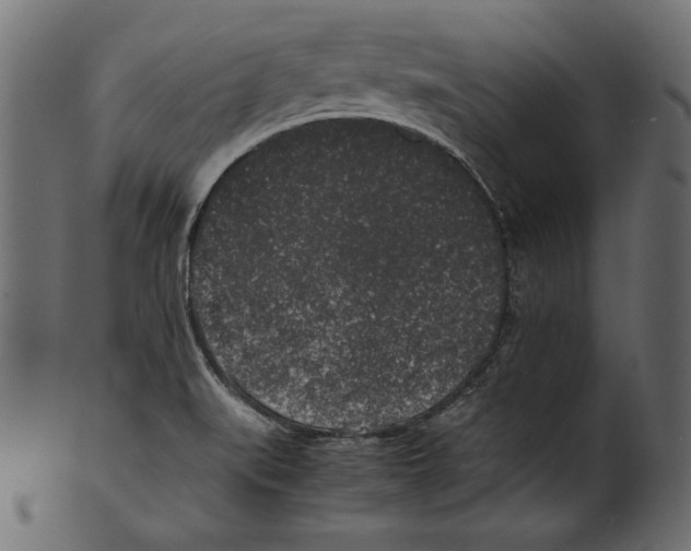 X0000100851519200807181044