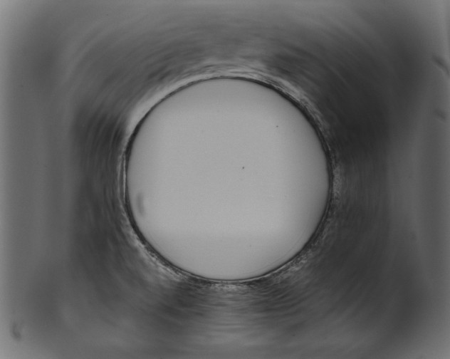 X0000100851520200807181044