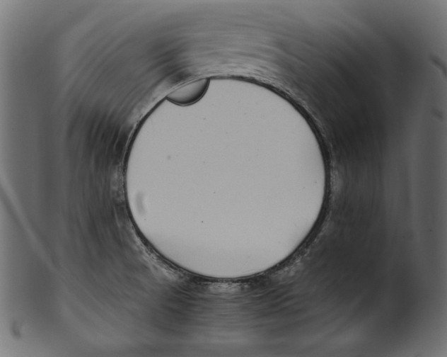 X0000100851521200807181044