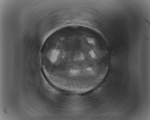 X0000100851522200807181044