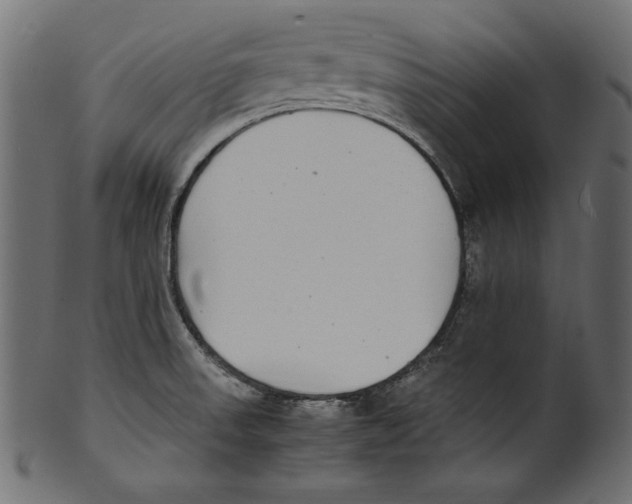 X0000100851523200807181044