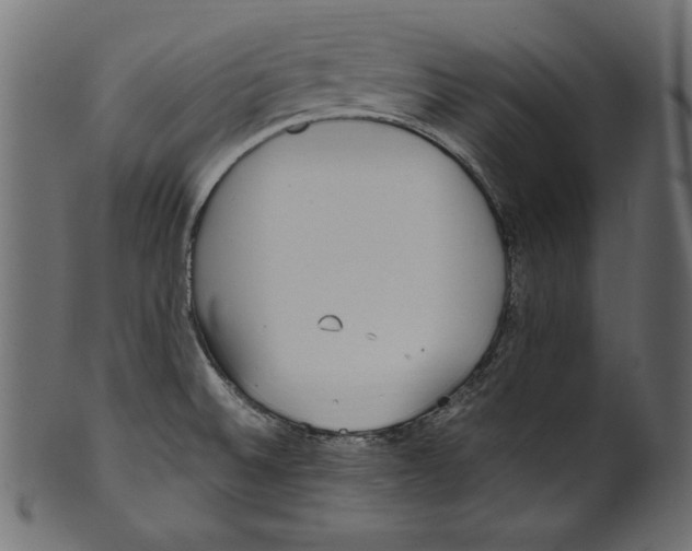 X0000100851524200807181044