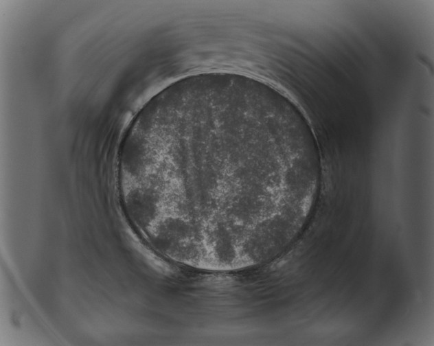 X0000100851525200807181044