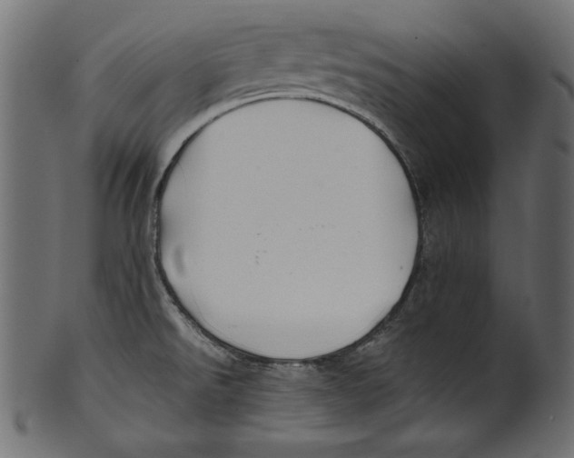X0000100851526200807181045
