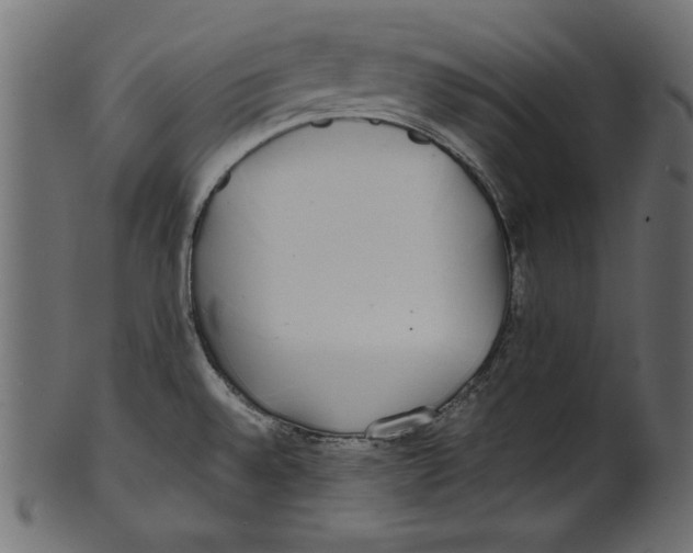 X0000100851528200807181045