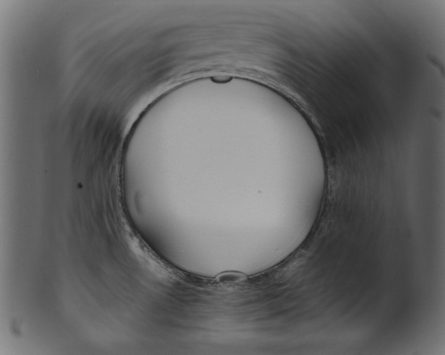 X0000100851530200807181045