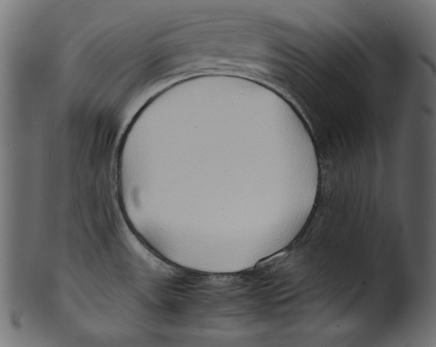 X0000100851531200807181045