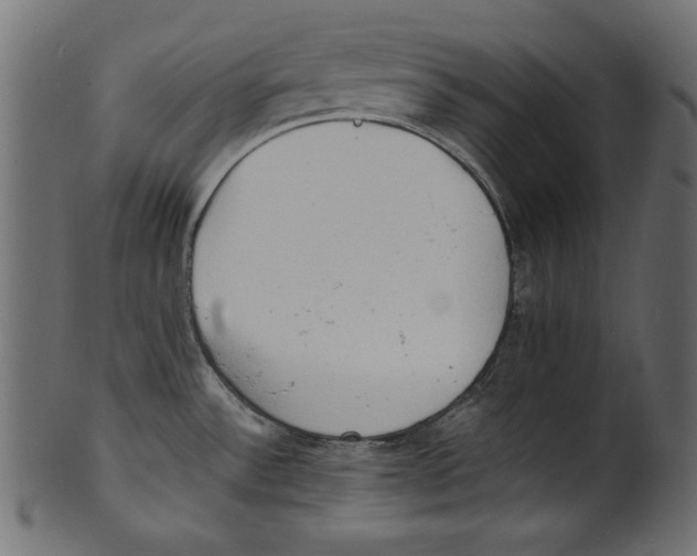 X0000100851532200807181045