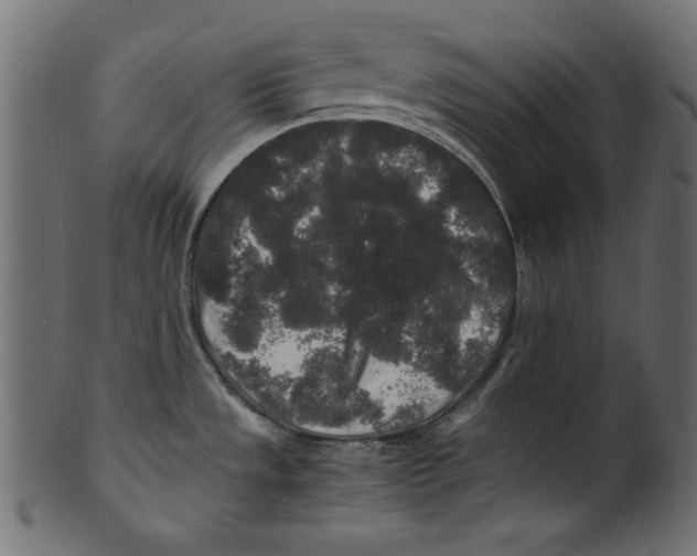 X0000100851533200807181045