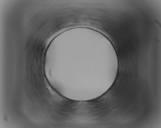 X0000100851534200807181045