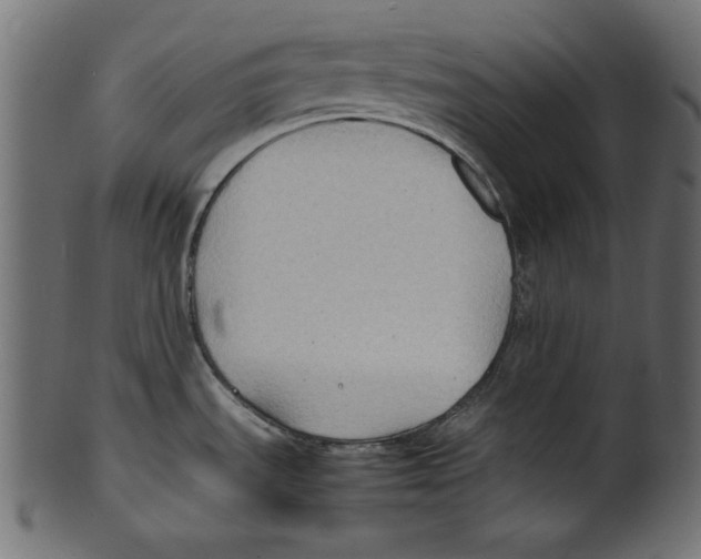 X0000100851535200807181045