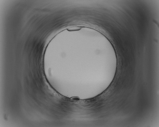 X0000100851536200807181045