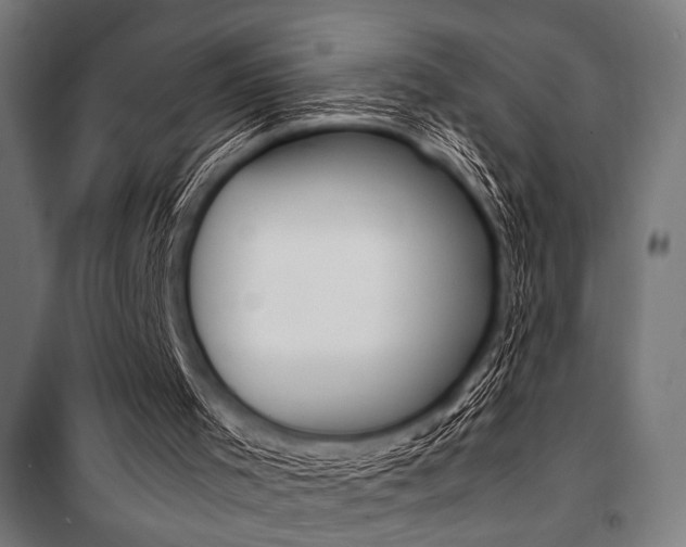 X0000100860001200806200849