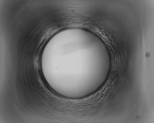 X0000100860002200806200849