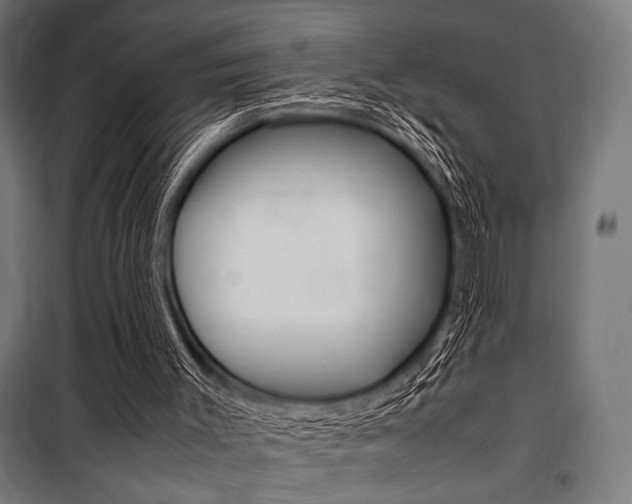 X0000100860003200806200849