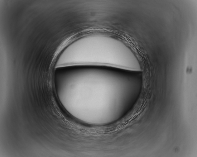 X0000100860004200806200849