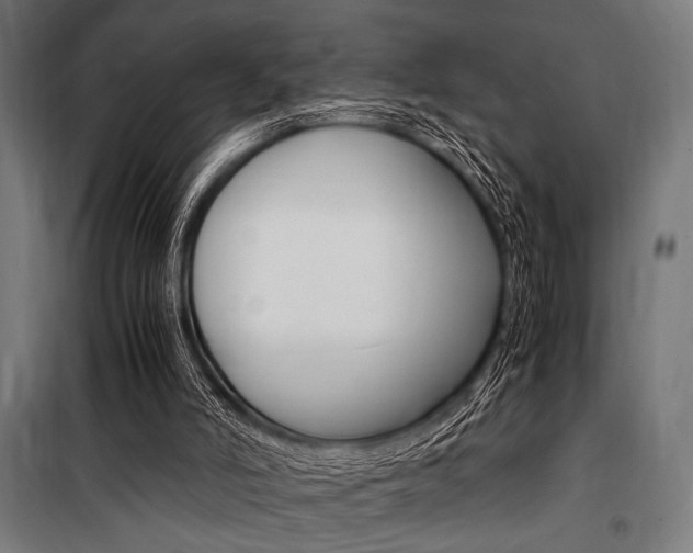 X0000100860006200806200849