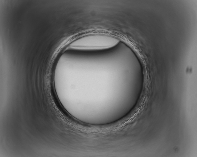 X0000100860007200806200849