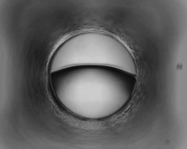 X0000100860008200806200849