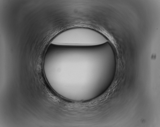 X0000100860009200806200849