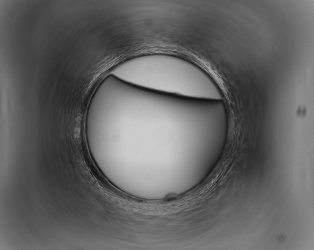 X0000100860010200806200849