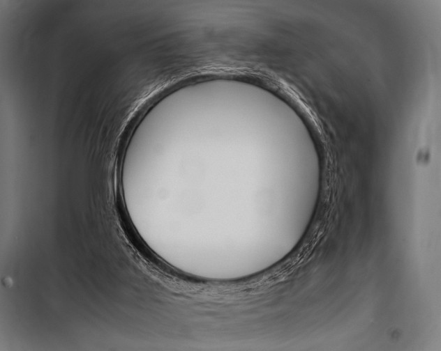 X0000100860011200806200849