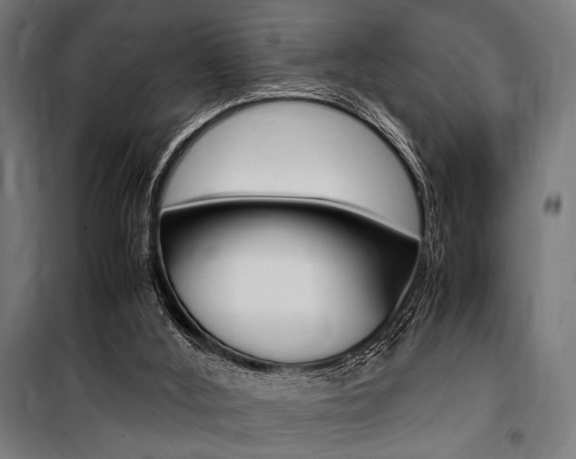 X0000100860012200806200849