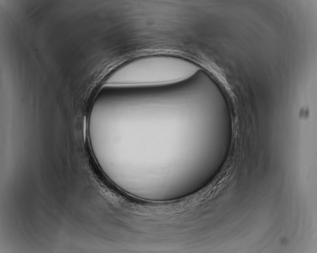 X0000100860013200806200849