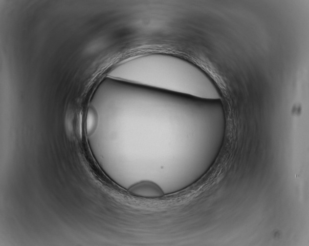 X0000100860014200806200849