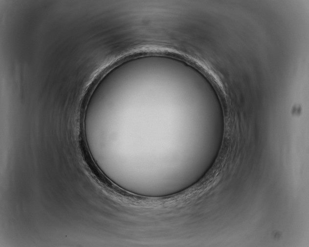 X0000100860015200806200849