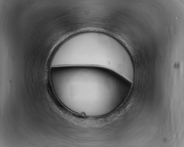 X0000100860016200806200849