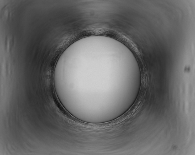 X0000100860018200806200849