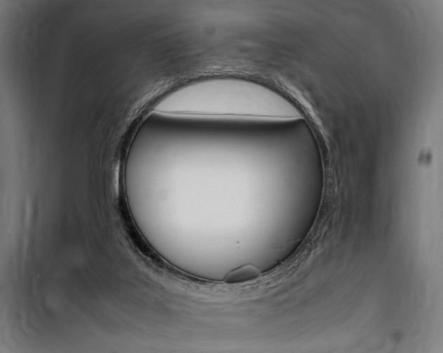 X0000100860019200806200849